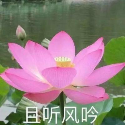 乐鱼体育ob场馆截图