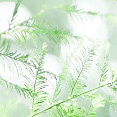 beat365在线体育